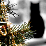 Чёрная кошка и новогодняя ёлка