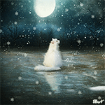 Белая кошка на фоне луны под падающим снегом смотрит в ст...