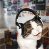  Кот <b>слушает</b> музыку 