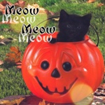 Черный котенок в тыкве на фоне листьев (meow meow)