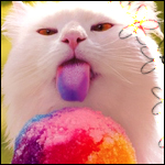  Кот кушает <b>цветную</b> мороженку 
