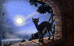  Чёрный кот, луна, просвечивает <b>сквозь</b> паутину... брр! 