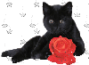  <b>Черная</b> кошка с красной розой 