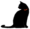 Черная кошка с красным ошейником