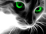  Кошка с <b>зелеными</b> глазами 