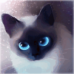  <b>Кошка</b> с голубыми глазами на фоне мерцающей пыльцы 