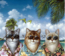  Коты проводят отпуск на морском <b>берегу</b> 