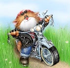  Котенок на <b>мотоцикле</b> 