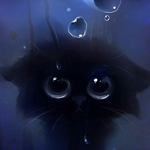 Черный котенок под водой
