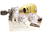 Котятки охраняют музыкальный инструмент