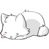 Спящий белый котёнок