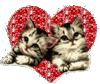 Два котенка на фоне сердечка