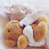Миленькая кошка спит, обняв лапами плюшевую игрушку
