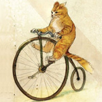 Рыжий кот едет на велосипеде