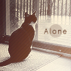 Одинокая кошка, одиночесвто,alone