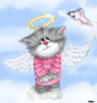 Котик-ангел смотрит на летящую в небе мышь