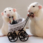 Мышата в коляске катают плюшевого кота, автор moonlightlady