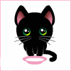 Черный котенок ест молоко
