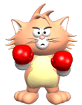 Котёнок-боксёр