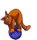 Кот играет с клубком