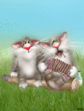 Котики с гармошкой.А.Долотов