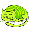 Спящий зелёный кот