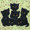 Котята черный кот