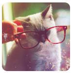 Кот в очках