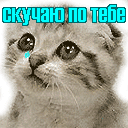 Скучаю по тебе ) котенок плачет голубыми слезами