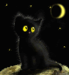 Черный котенок черной ночью