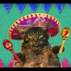 Мексиканский кот