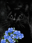 Черный котик с цветочками