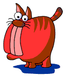 Красный жирный кот