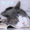 Кот спит на книге (хр-р-р...)