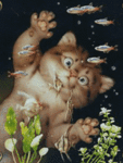 Котик рыболов