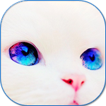 Мордочка белого котика с красивыми синими глазами