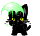 Черная кошка под зонтиком