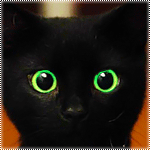 Черный котенок с зелеными глазами моргает