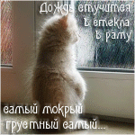 Котенок смотрит на дождь за окном (дождь стучится в стекл...