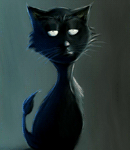 Нервный черный кот