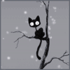 Черный кот с большими глазами сидит на дереве под снегом