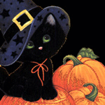 Чёрный кот на хелуин