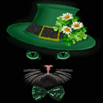 Котик в зеленой шляпе