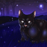Чёрный кот ночью сидит на траве, окружённый фиолетовыми б...