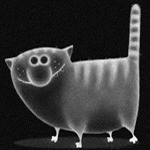 Прикольный кот под рентгеном
