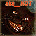 Ака_кот