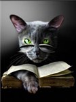 Учёный кот с книжкой в очках