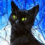 Чёрный кот со светящимися зелёными глазами