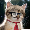 Кот в очках и красном галстуке
