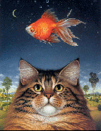 Котик мечтает о золотой рыбке,исполняющей желания